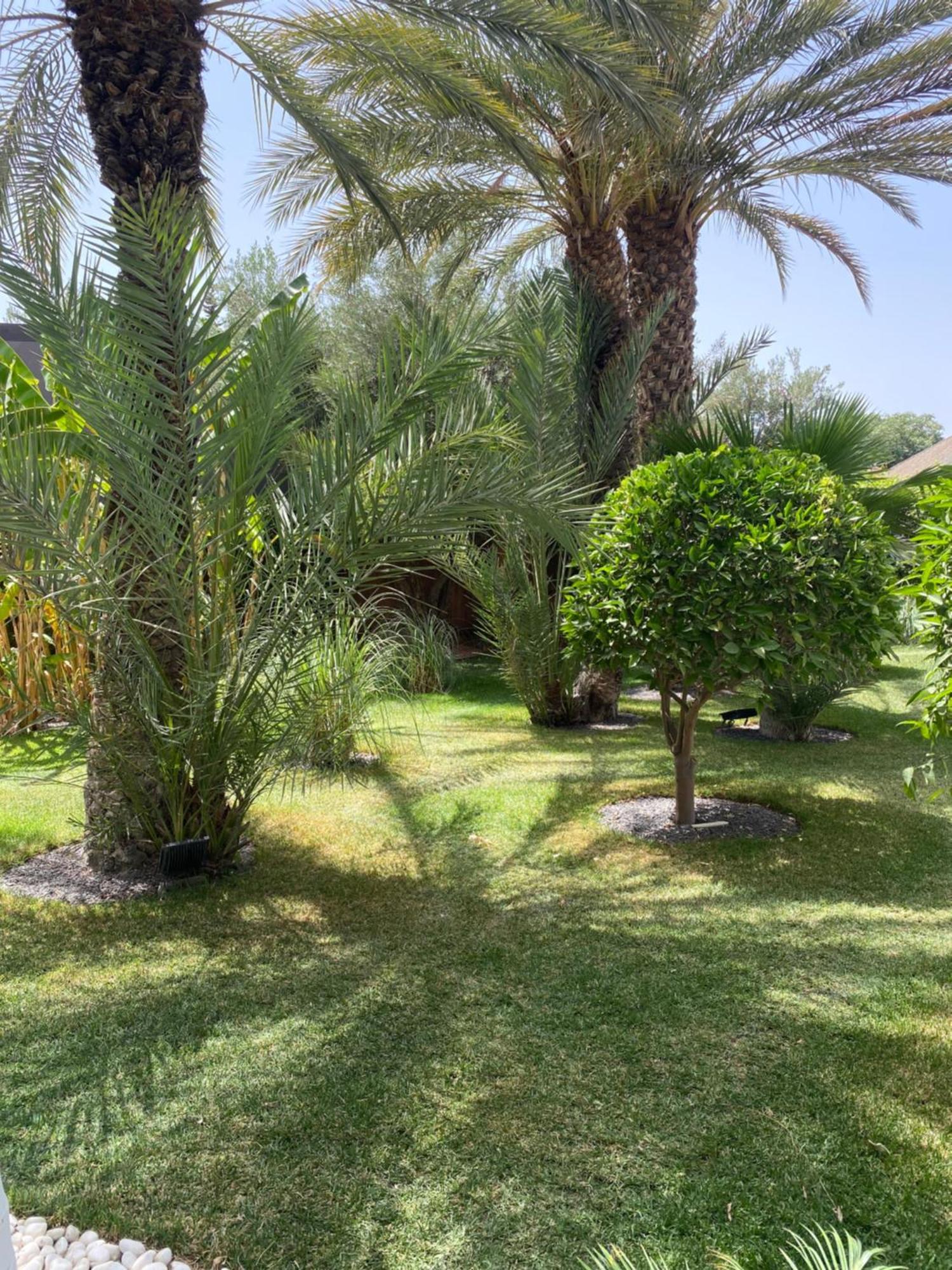 Villa Mano Marrakesh Exterior foto